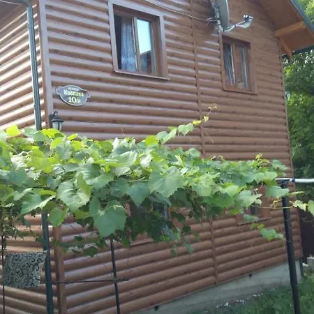 Guest house базилік *