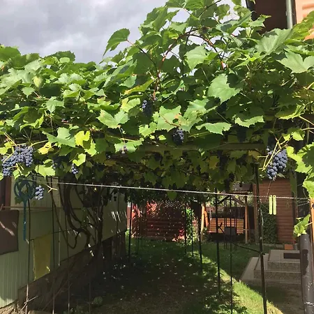 базилік Guest house *