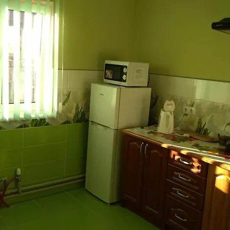 Guest house базилік Yaremche